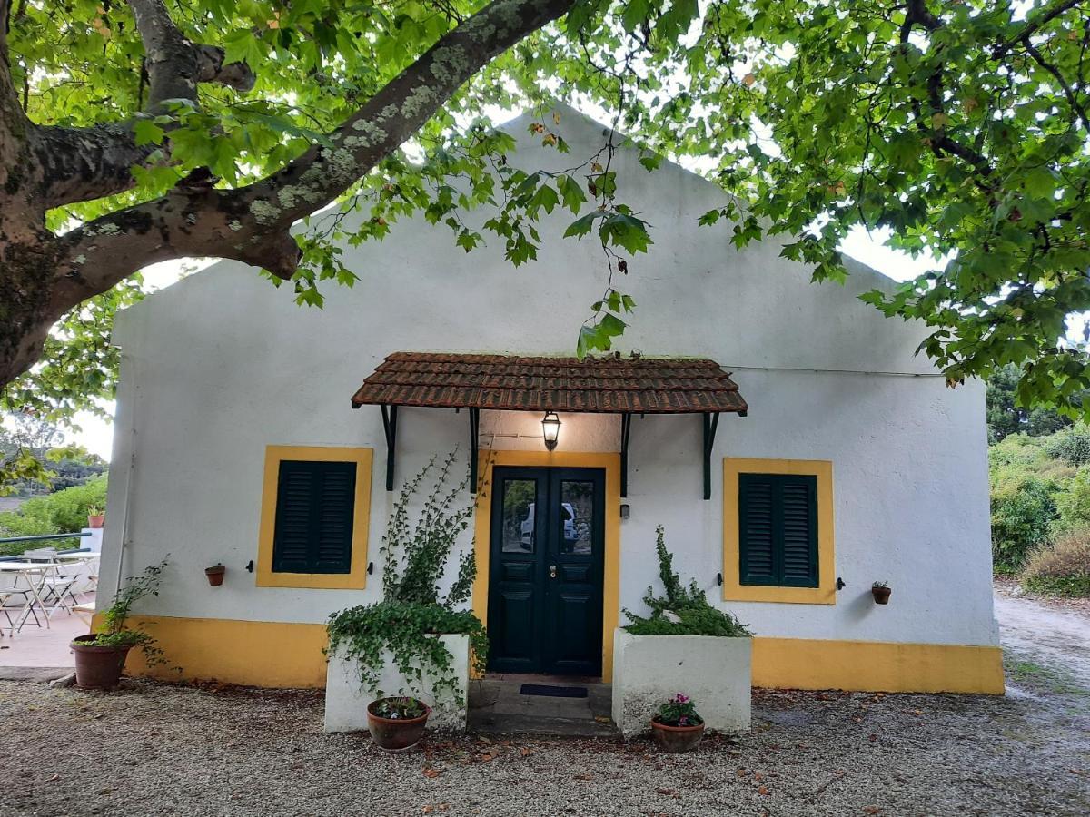 Montejunto Villas - Casa Do Platano Cadaval Exterior foto