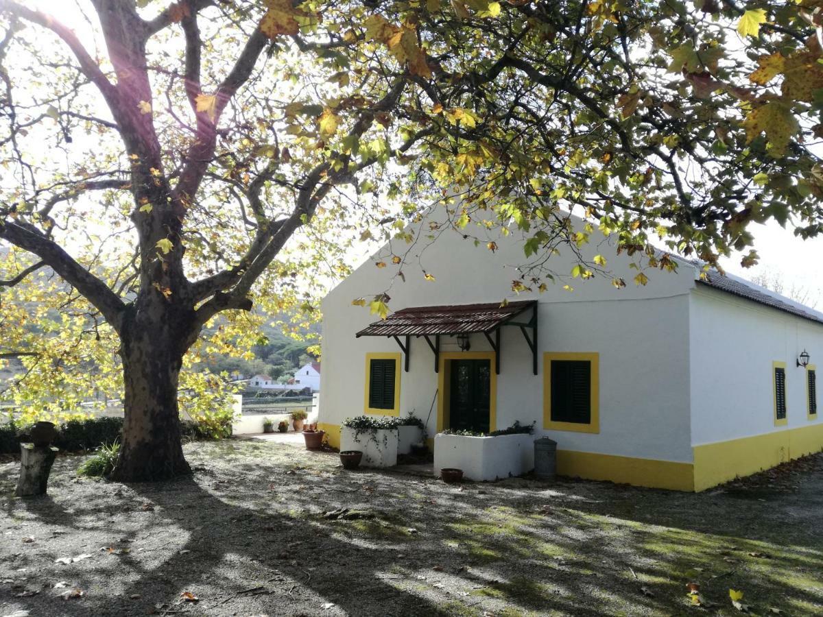Montejunto Villas - Casa Do Platano Cadaval Exterior foto