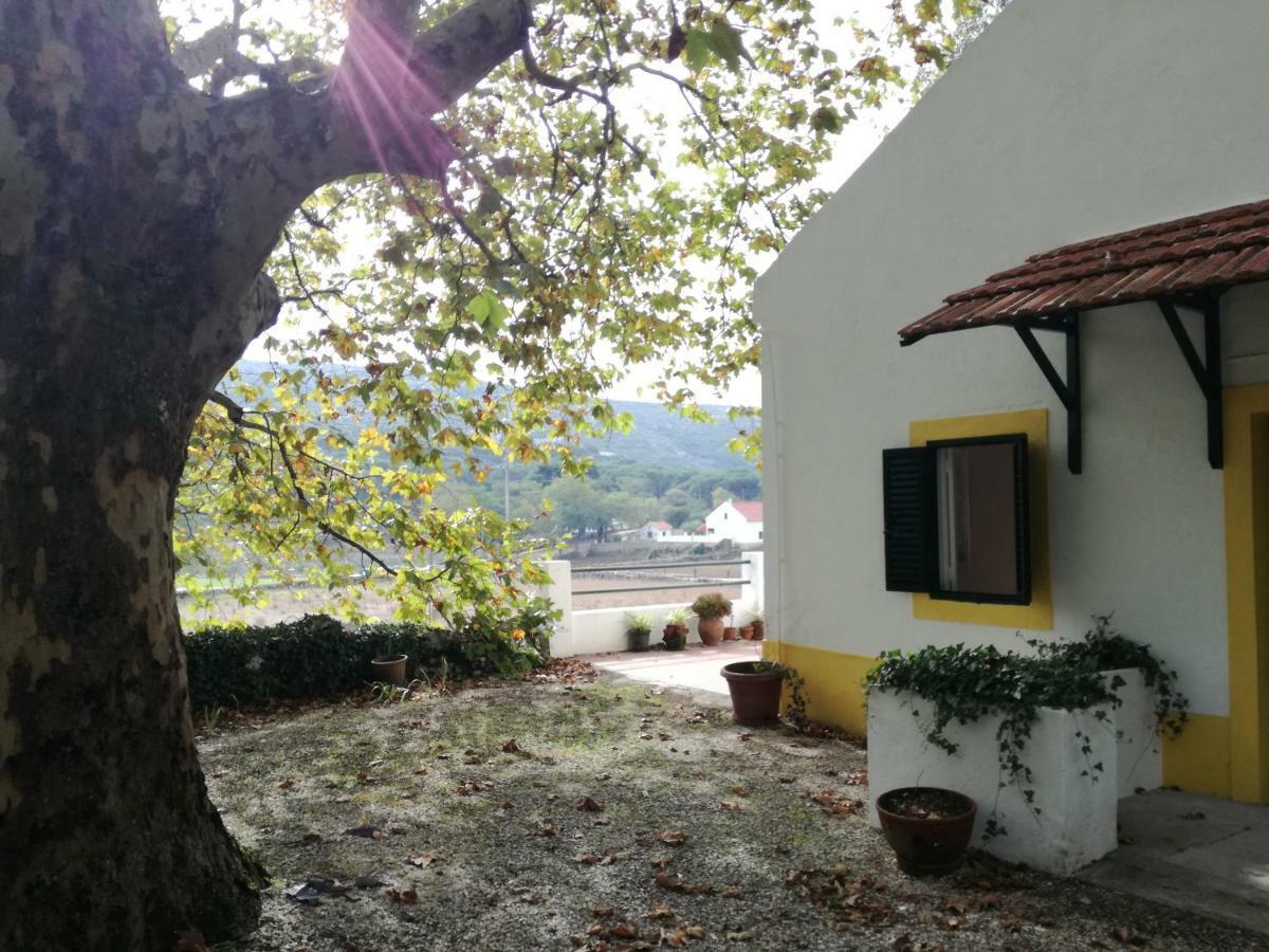 Montejunto Villas - Casa Do Platano Cadaval Exterior foto